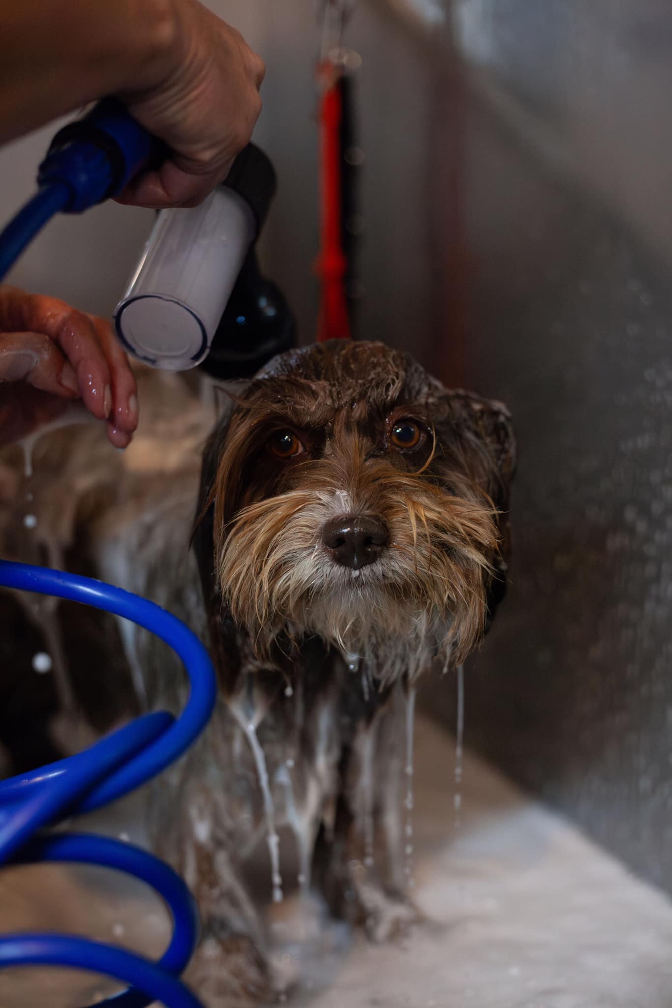 Wassen